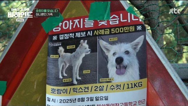 한달 넘게 차에서 숙식하며 반려견을 찾고 있는 견주 사연