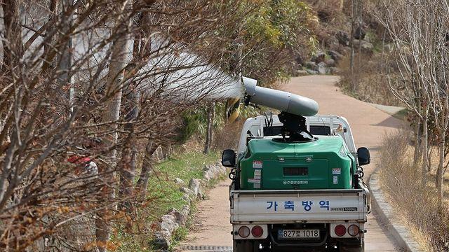경기 파주 토종닭 농장서 올 시즌 '첫 H5형 AI 항원'