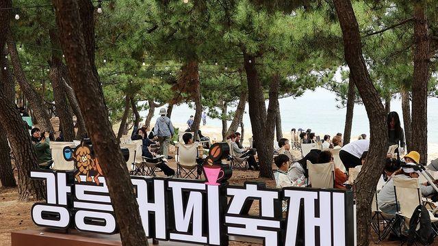 극심한 가뭄 여파…강릉시, 누들 축제·커피 축제 취소
