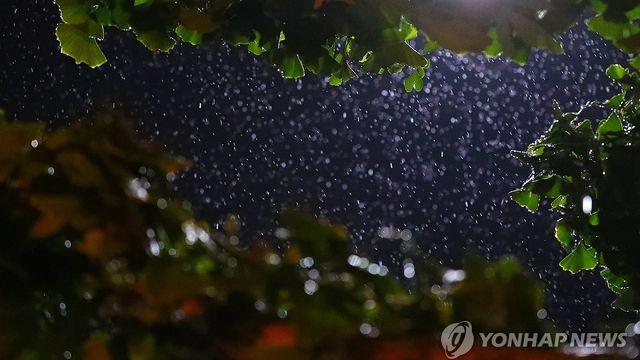 '가뭄' 강릉에도 100㎜ 이상, 간밤 많은 비…오늘 호우 이어져