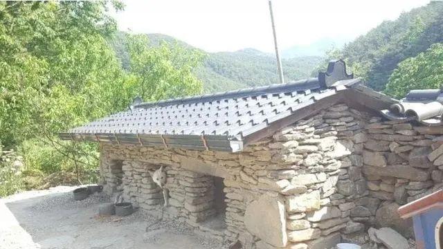대궐같은 개집,,