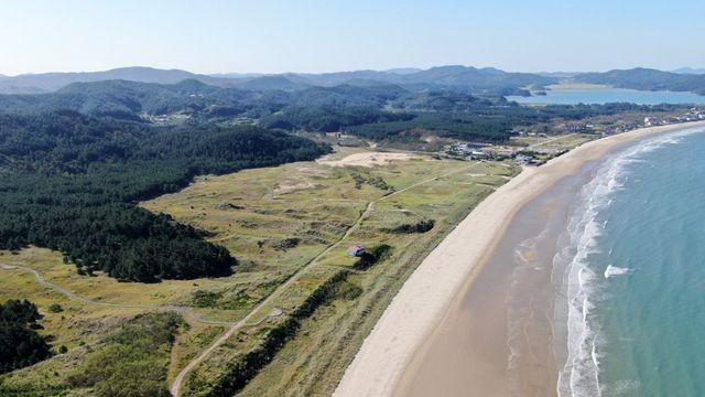 [해안사구의 재발견] ⑨ 개발 바람과 기름 유출 딛고 되살아난 태안 신두리 사구