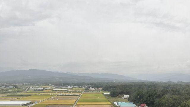 실시간 강릉