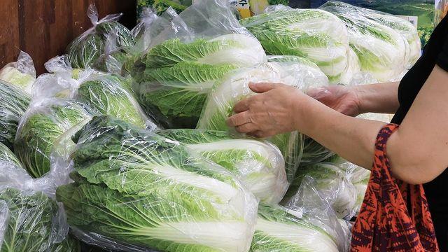 배추·무 유통비용 60∼70% 달해…