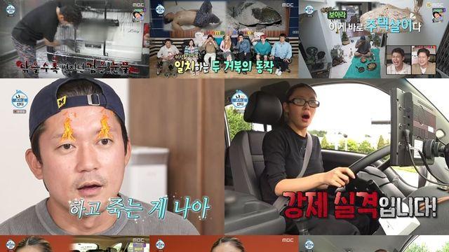 ‘나혼산’ 리정, 반려견 위해 침대 제작+운전면허 취득 결심