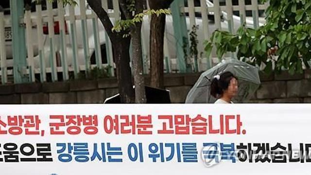 강릉에 단비, 해갈엔 턱없이 부족…강원 내일까지 20∼70㎜ 예보(종합)