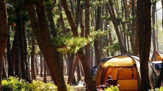 구조 신호인 줄 알고 달려갔더니…숲속 '1인 콘서트'