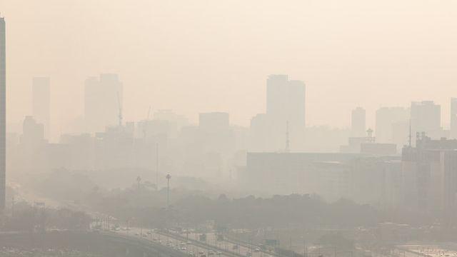 “대기오염, 치매 촉진제 역할” 미세먼지와 뇌 손상 첫 증거