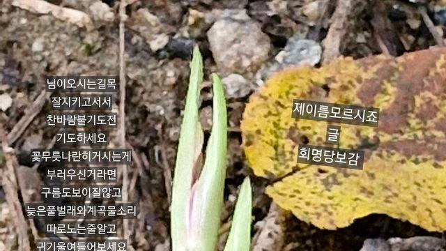 [보감과의 동행128]  제이름모르시죠