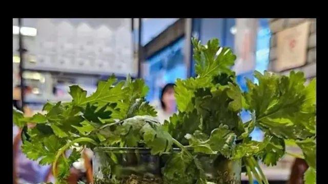 [스압] 성심당의 선 넘는 텃밭 에디션 음료,,