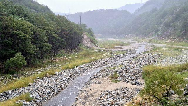 극한 가뭄에 단비…강릉 오봉저수지 저수율 13.1%로 52일 만에 상승