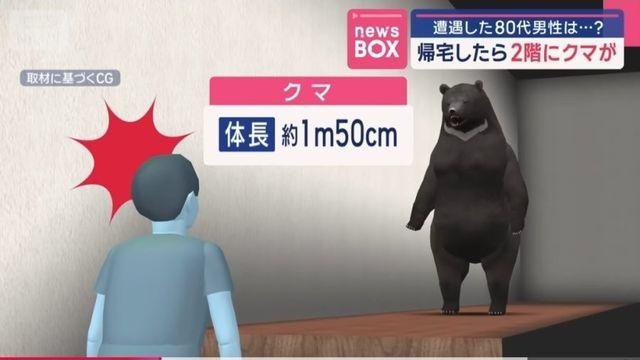 최근 일본에서의 곰 피해 뉴스