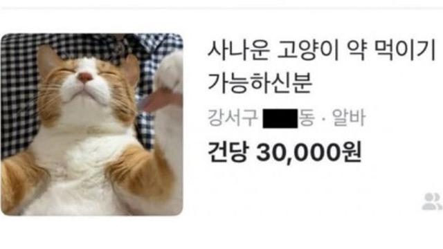 귀여운 당근 구인글
