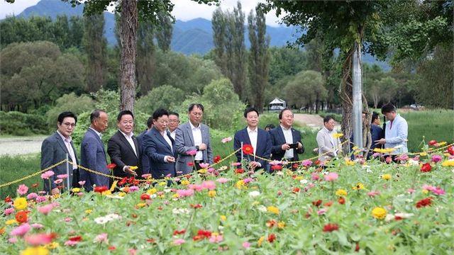 가평군, '자라섬 꽃 페스타' 개막...