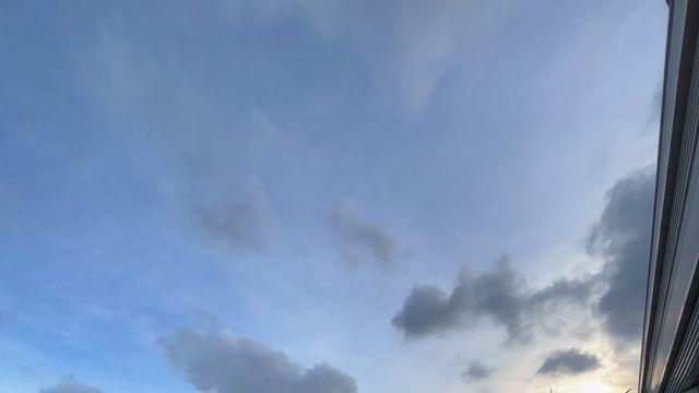 이성경, 새 프로필 공개 후 첫 공식 석상…핑크 드레스 빛나는 순간