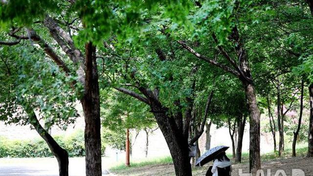 수요일 전국 비 소식…체감온도 31도 '막판더위'[다음주 날씨]