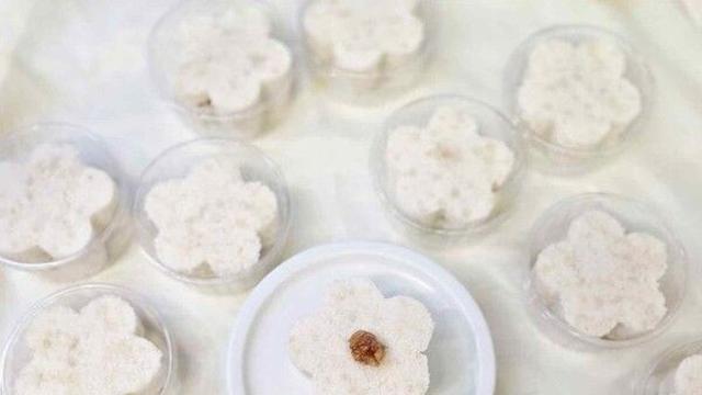 한국 배 세계로…농진청, 배 활용 조리법 공모전 수상작 발표