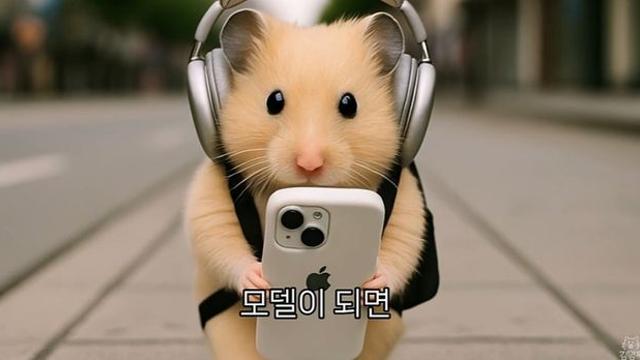 직장인 취향 저격 햄스터가 있다?... AI ‘김햄찌’의 공감 드라마 [김지혜의 ★튜브]