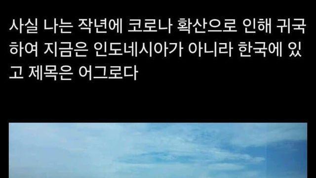 냉혹한 인도네시아 싱붕이의 세계.....jpg