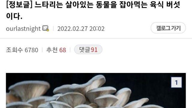 버섯도 육식을 한다