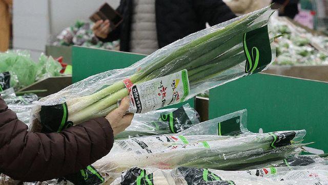 농산물 유통비용 절반 육박… 배추·무는 60∼70% 달해