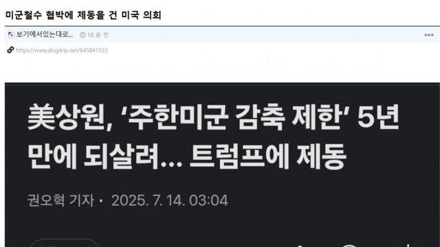 미군철수 영포티 반응
