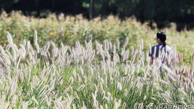 [날씨] 오늘 낮 최고 32도 늦더위 계속…제주 가끔 비