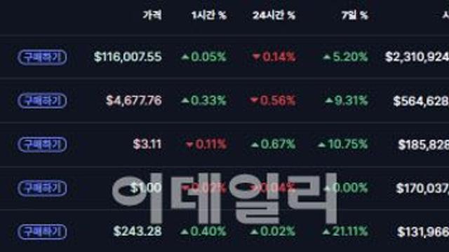 이더리움 4600달러 회복, 솔라나 240달러...알트코인 '강세'