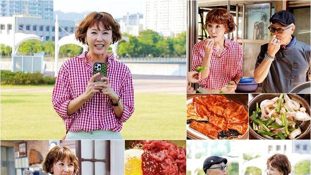 아나운서 출신 최은경 “한번도 뉴스 못 해” 반전 고백 (‘백반기행’)
