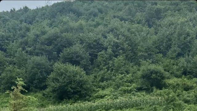 최신 북한 근황...