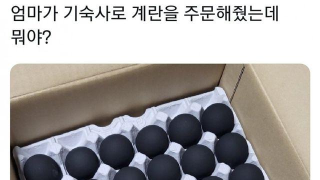 엄마가 주문해준 계란.