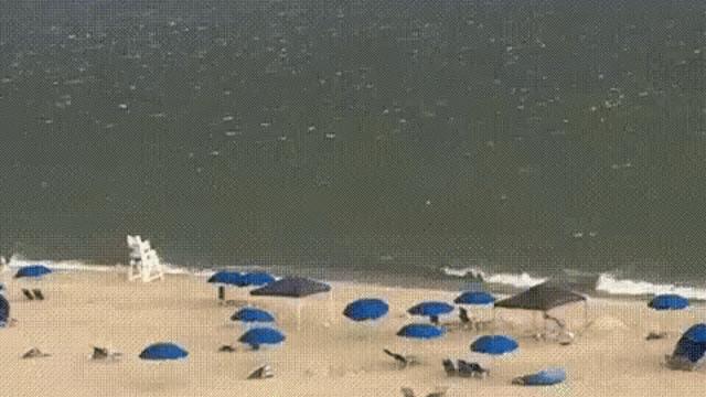 파업하는 파라솔