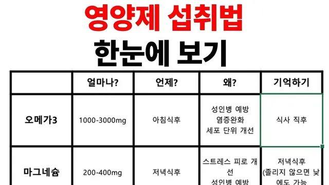 영양제 섭취법 한 눈에 보기