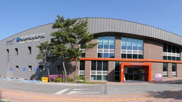 2025 한국주니어컬링선수권 대회 개최