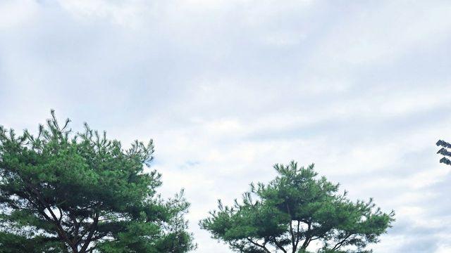 프로골퍼 이보미, 블랙 포인트 스커트로 완성한 세련된 그린룩