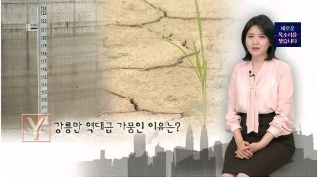 강릉만 역대급 가뭄인 이유는?