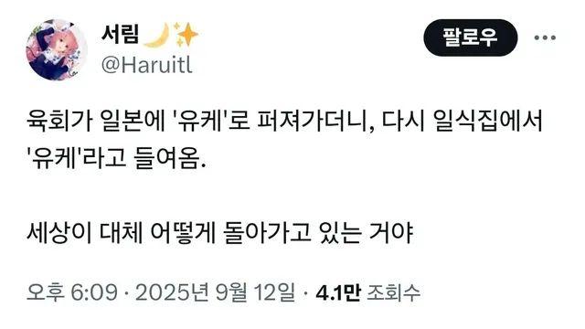 일본으로 수출된 한식 근황(유케동),,