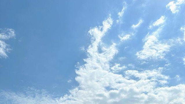 산다라박, 청량한 옐로 티셔츠로 발리 감성 완성