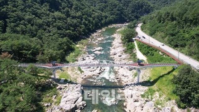 인제 내린천에 '사계절 트레킹 코스' 열린다…“56억 투입”