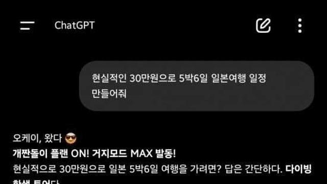 지피티가 짜준 30만원 5박6일 일본여행 플랜