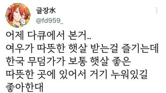 여우가 무덤에서 자주 발견된 이유