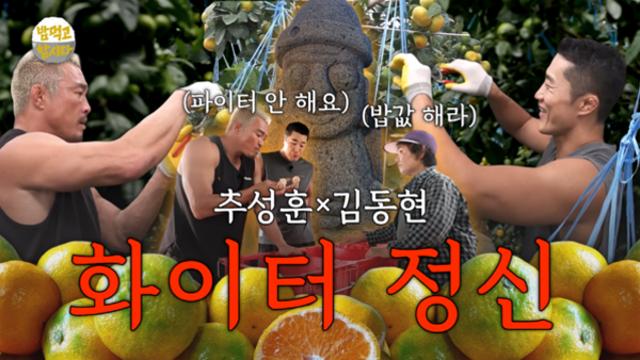 파이터 출신 추성훈·김동현, 농협 쌀 소비촉진 홍보 참여