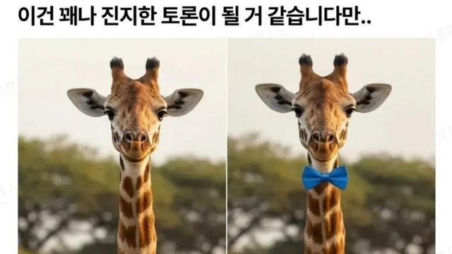 기린 나비넥타이 착용 논란
