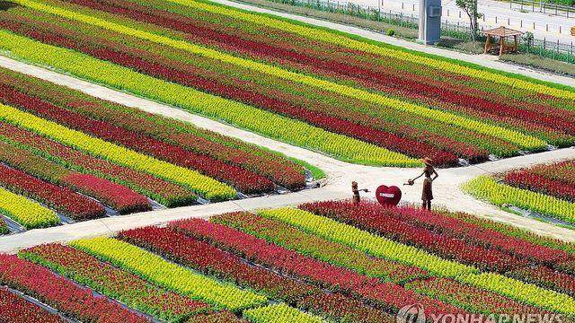 철원군, 추석 연휴 주요 관광지 정상 운영…귀성객 볼거리 다채
