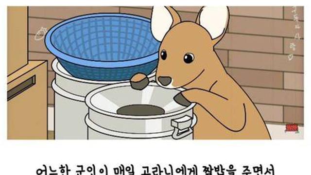 은혜 갚은 고라니!????