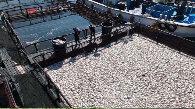 폭염과 폭우 동시에 왔다…'PD수첩' 기후 재난 실태 취재