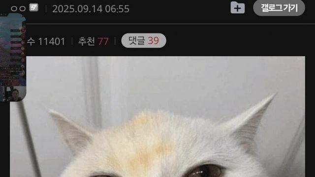 모비노기 영피프티 근황