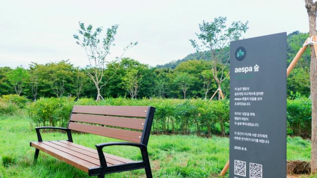 멜론, 친환경 프로젝트 ‘숲;트리밍’ 진행…에스파·윤하 숲 조성