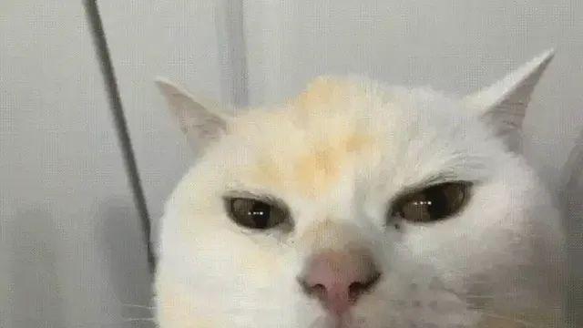 청주간첩단 감형