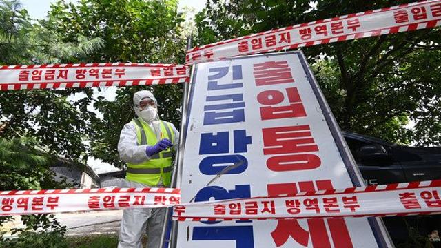 사전 방역에도 경기 연천서 ‘아프리카돼지열병’ 확진